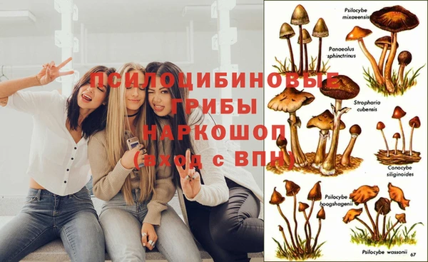 каннабис Нея