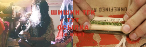 крисы Новокубанск