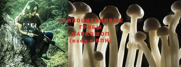 2c-b Нефтегорск