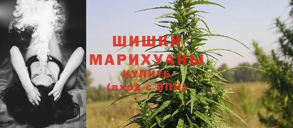 крисы Новокубанск