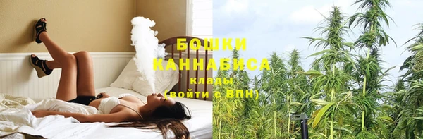 крисы Новокубанск