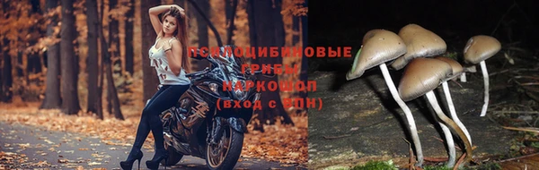 mix Новозыбков