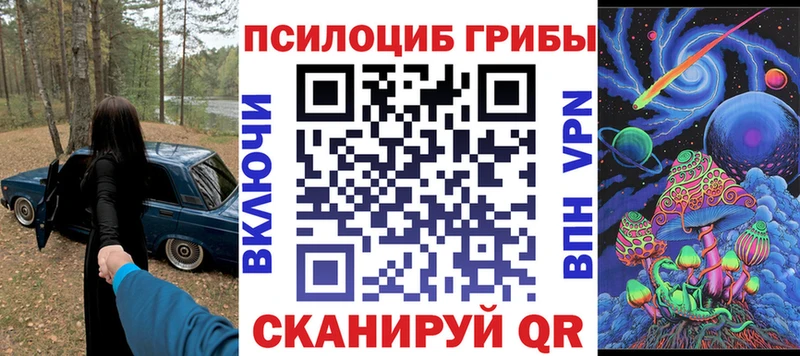 купить наркотик  Кущёвская  Галлюциногенные грибы Psilocybe 